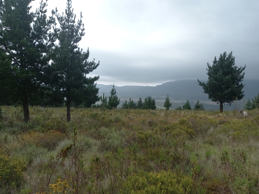  Bedroom Property for Sale in Riversdale Rural Western Cape